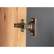 Шкаф Адам двухдверныйдуб крафт золотой / графит