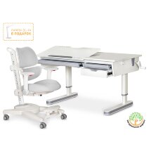 Комплект парта Mealux Montreal 2 Lite G  арт. BD-670-2 MC/WG Lite   Y-609 G  -  стол   кресло  /   коробок 2 шт.